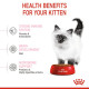 Royal Canin Kitten – Hrană Uscată pentru Pisici Tinere (Junior) – 10 kg